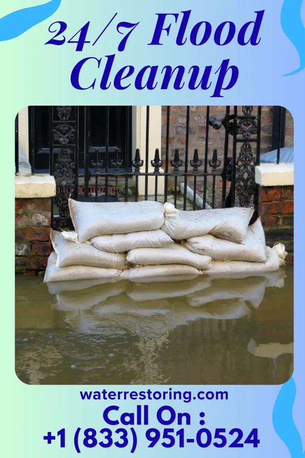 24/7 Flood Cleanup in Elnora, IN