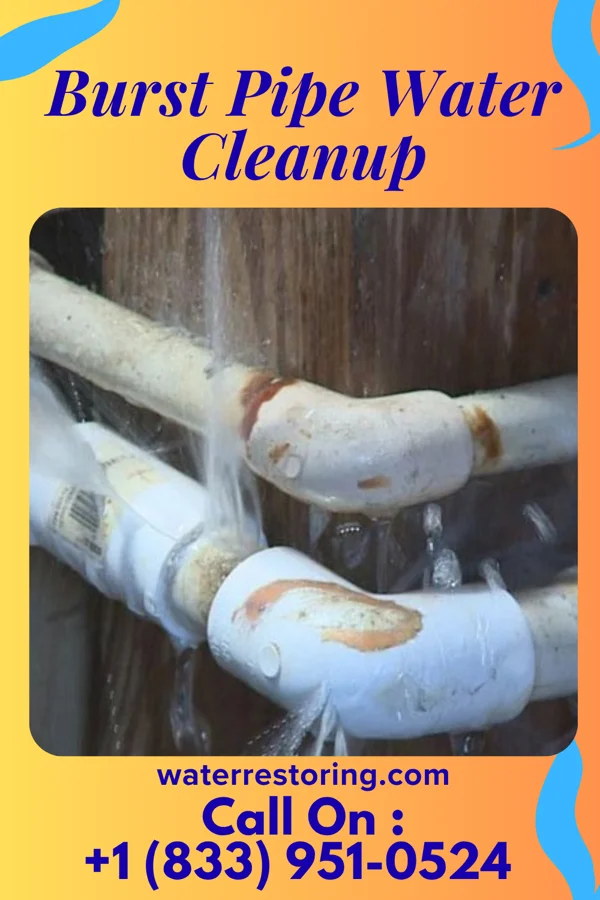 Burst Pipe Water Cleanup in Elnora, IN