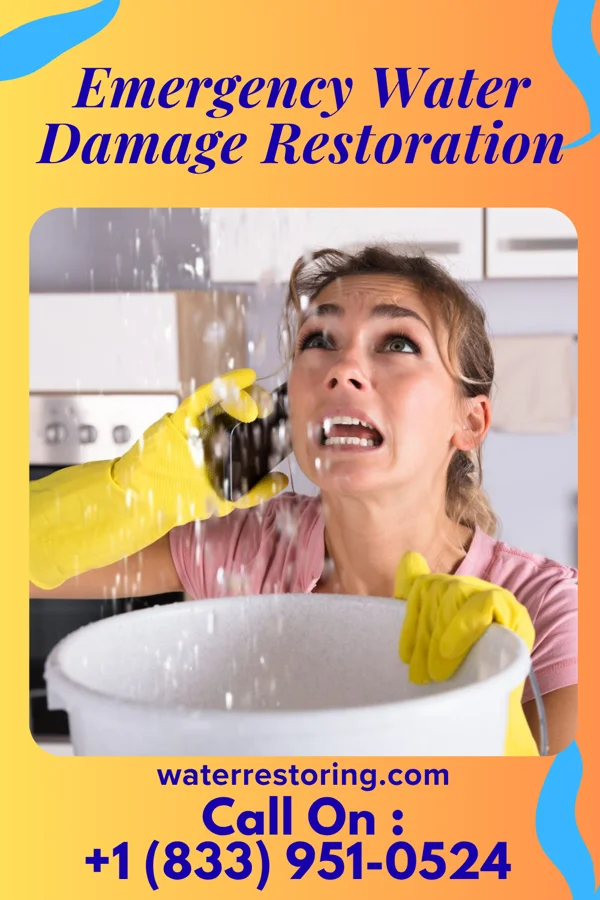 Emergency Water Damage Restoration in Elnora, IN