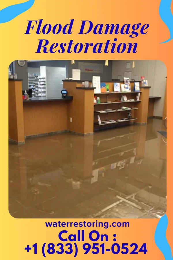 Flood Damage Restoration in Elnora, IN