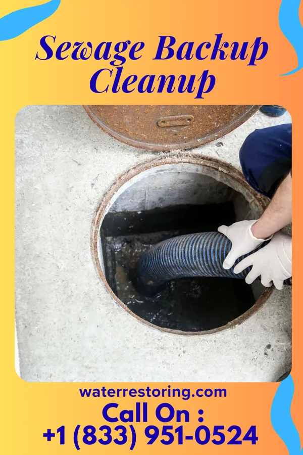 Sewage Backup Cleanup in Elnora, IN